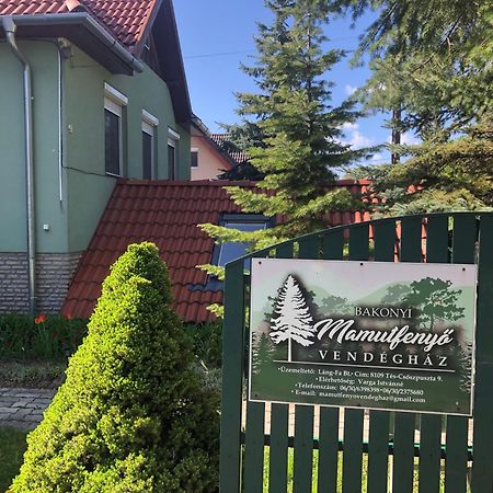 Bakonyi Mamutfenyő Vendégház Tés Exterior foto