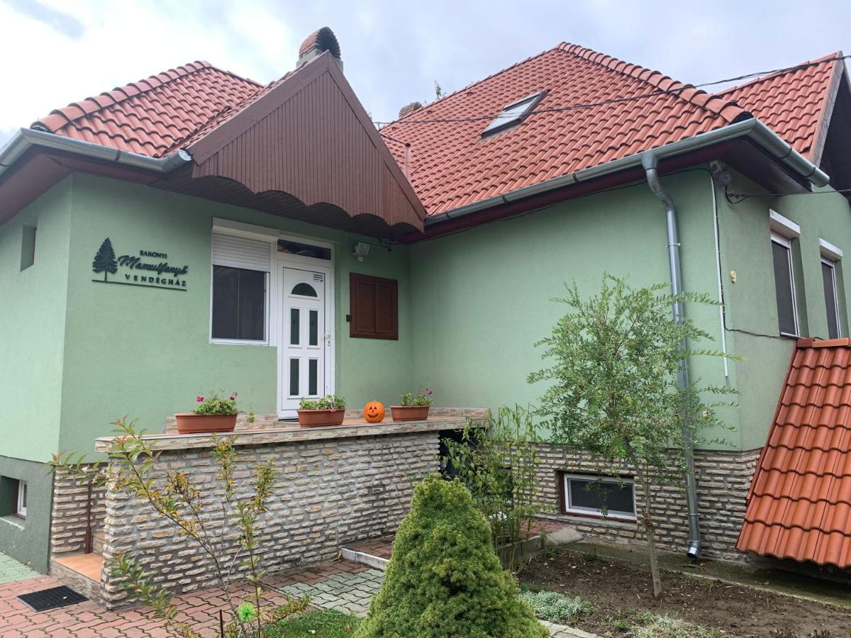 Bakonyi Mamutfenyő Vendégház Tés Exterior foto