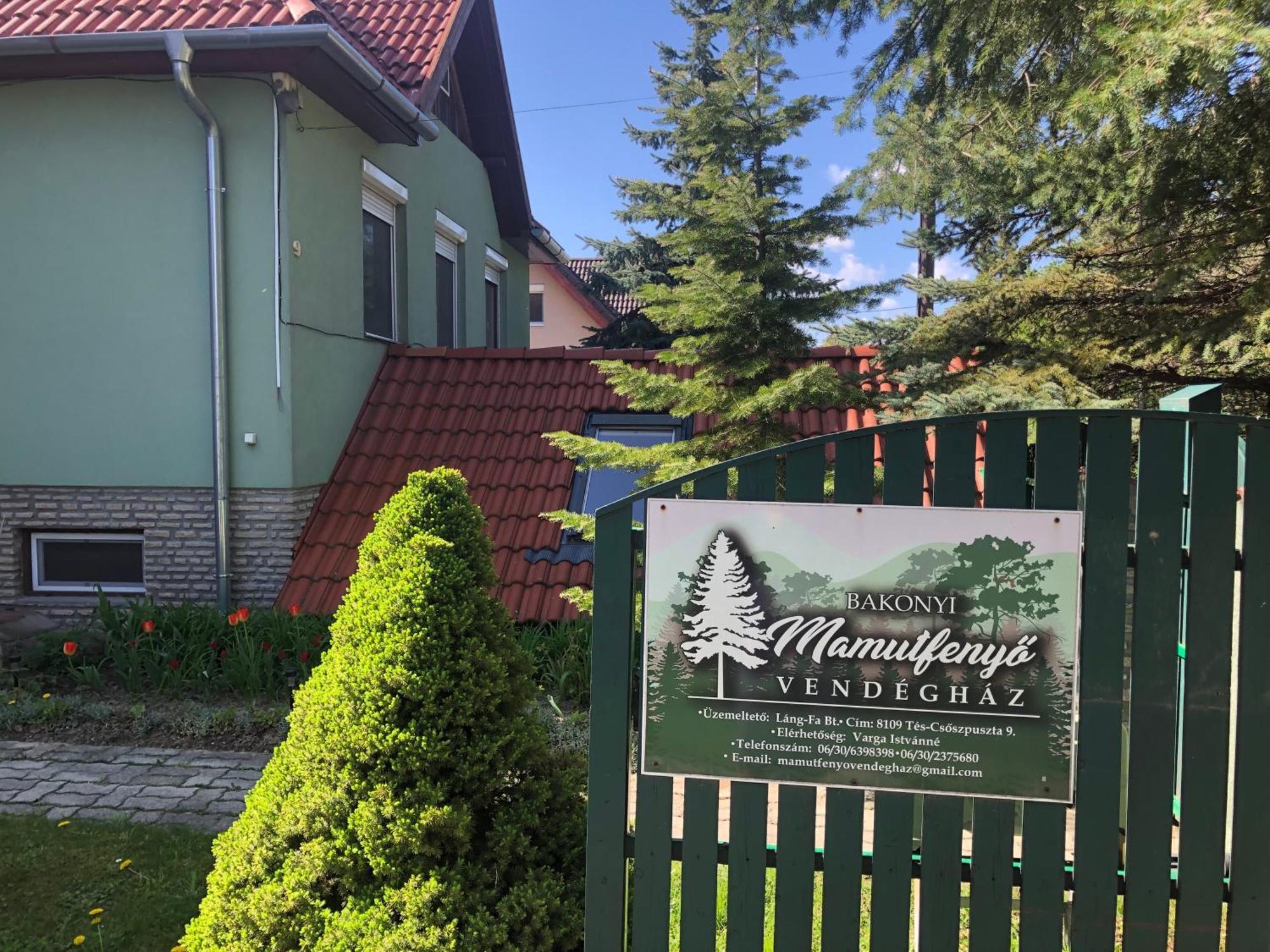 Bakonyi Mamutfenyő Vendégház Tés Exterior foto