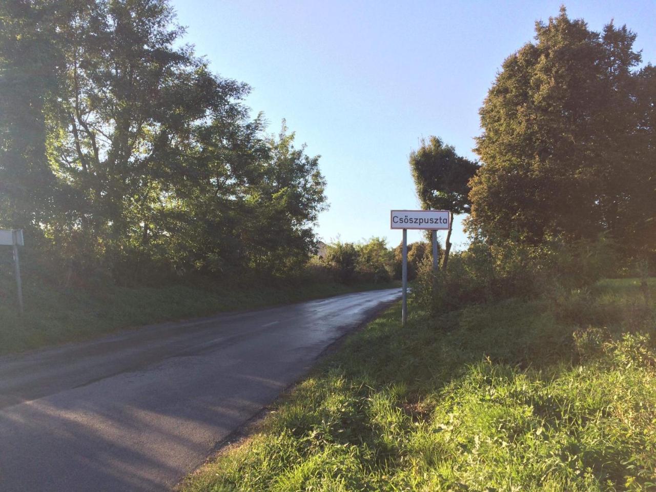 Bakonyi Mamutfenyő Vendégház Tés Exterior foto