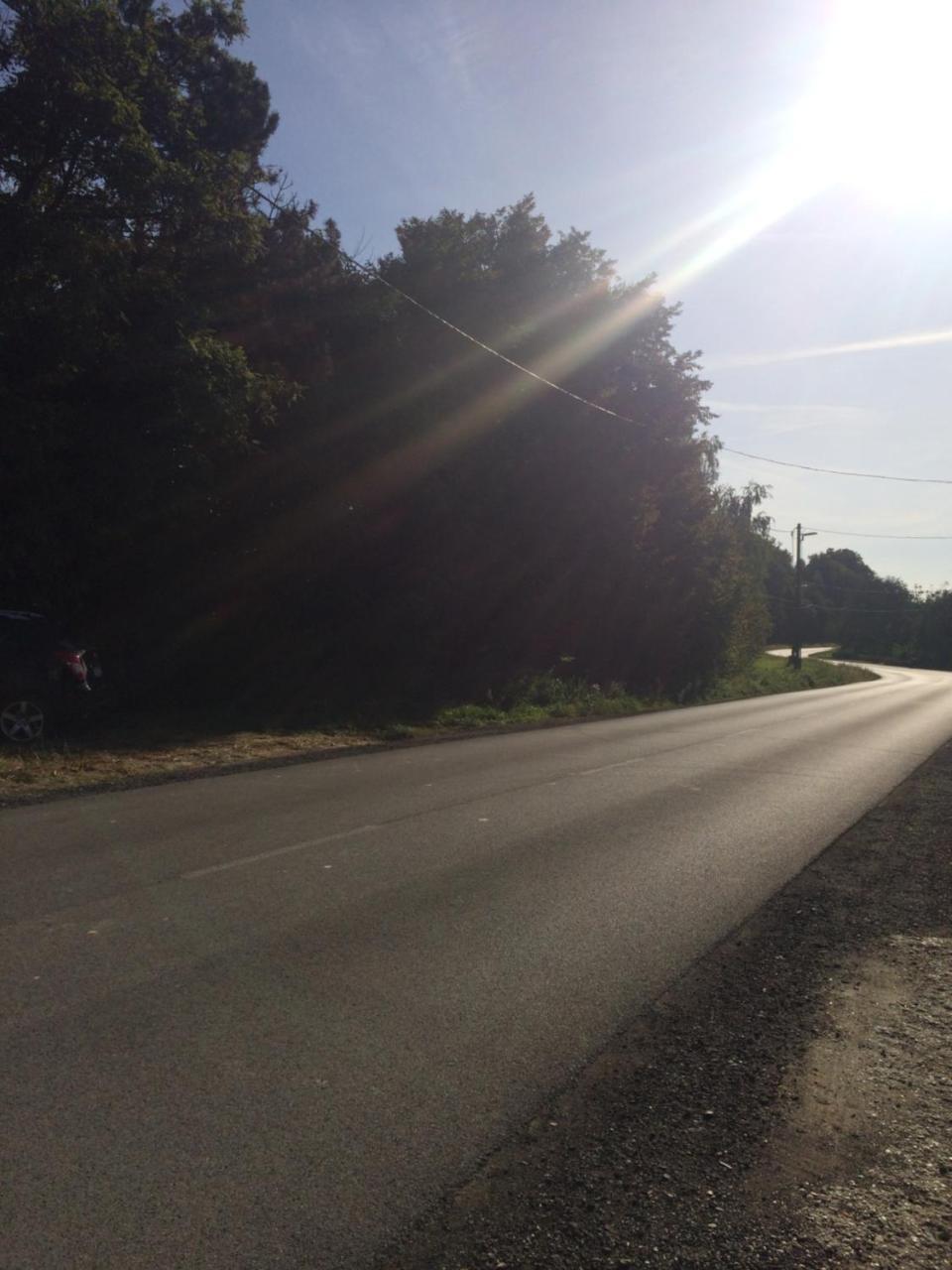 Bakonyi Mamutfenyő Vendégház Tés Exterior foto