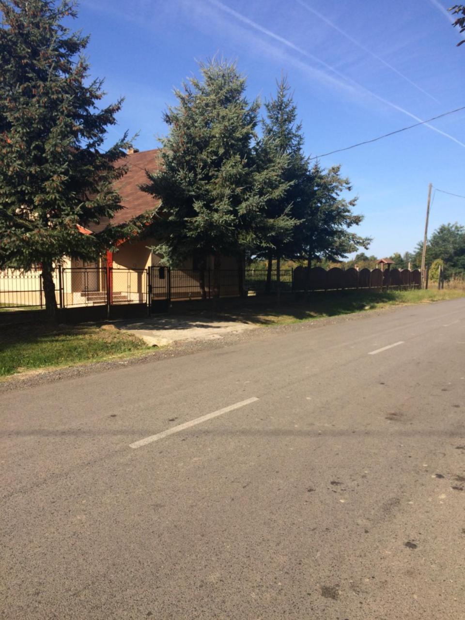 Bakonyi Mamutfenyő Vendégház Tés Exterior foto
